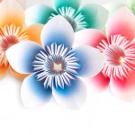 Paper Flowers