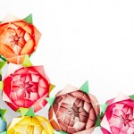 Paper Roses