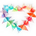 Birds heart