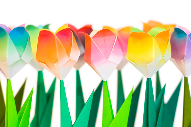Paper Tulips