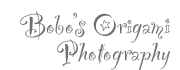Bobo's Origami Photography