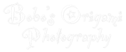 Bobo's Origami Photography