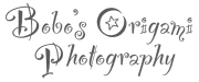 Bobo's Origami Photography
