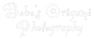 Bobo's Origami Photography